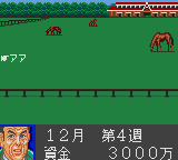 Скриншот игры World Derby